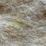 Pilcro  Women’s Butter Yellow Button Down Blouse Size S Lightweight Crinkle Shirt Photo 8