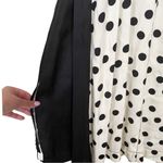ZARA Limited Edition Polka Dot Maxi Dress Sz S Photo 4