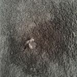 Disney  Jacket Womens 2XL Embroidered Minnie Mouse Full Zip Black Fleece Pocket Photo 5