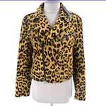 NWT Ralph Lauren purple label calf hair leopard print leather jacket Brown Size 6 Photo 4