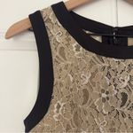Max and Cleo  Lace Mini Dress Sleeveless Tan Black Contrast Lined Zip Up Zipper 8 Photo 3