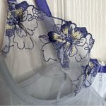 Adore Me Arctic Ice Sheer Lingerie Nightwear Sz 38B NWT Photo 4