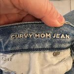 American Eagle  Outfitters Distressed High Rise Blue Curvy Mom Jean Size 18S Photo 6