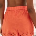 Anthropologie Eyelet Cover-Up Shorts, Size XL Photo 2