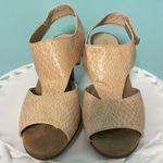 Areosoles Beige Croc Embossed Patent Leather Tripad Slingback Sz 9.5. S Photo 0