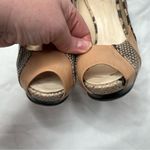 Giuseppe Zanotti Design Peep Toe High Heel Pumps Size 37 Snake Print leather Photo 8