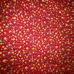 Dress Size ML Square Dance Country Farm Yellow Red Floral Skirt Blue Lace Trim Photo 14