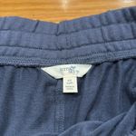Terra & Sky  womens shorts sizee 0X (14W) . Photo 4