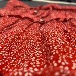 Princess Polly Red Floral Skirt 8 Photo 3