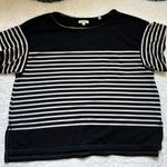 Max Studio  short sleeve knit sweater top size XL Photo 0