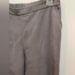 Eileen Fisher  Women’s Pull On Pants Stretch Lyocell Pockets Sz XS Coastal Gray Photo 1
