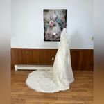 Gorgeous Vintage 1960s/70s Lace Gown & Crinoline Slip! Size 10 Photo 5