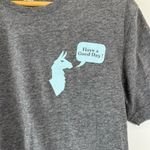 Cotopaxi Grey Have a good day Tee T shirt Women's Size Medium Photo 2