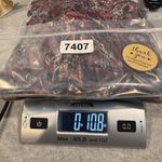 Vintage Y2K fraiche by J Babydoll Top Womens Large Pink Velvet Paisley Belt Photo 12