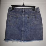 Denim Skirt Size L Photo 1