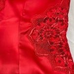 Savage X Fenty lingerie Photo 1