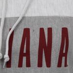 Champion Reverse Weave University of Indiana Cropped Hoodie Sweatshirt XS Photo 1