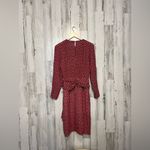 Argento Vivo Argentina pure Midi dress long sleeve size medium Photo 2