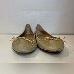 Banana Republic Women's Robin Almond-Toe Ballet Flat Size 9.5 Photo 4