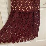 Slate + Willow  Dress Photo 1