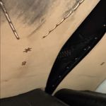 Splendid  Black 3.5” Heel Side Zip Boots Size 8 Photo 6