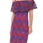 Bebe Lace Dress Photo 0