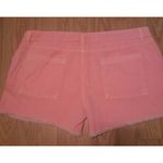 Splendid NWT Vintage Sunset Orange Shorts Size Large 17” Waist Photo 7