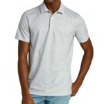 Goodfellow & Co New Standard Fit Short Sleeve Polo Shirt Light Grey Size Large Photo 1