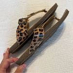 blowfish  leopard print thong sandals size 6 Photo 13