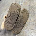 UGG  Women's Mini Bailey Button II in Chesnut Photo 5