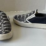 Vince  Banler Snake Embossed Skate Womens Shoes Sz 8M Pull On Sneakers Platform Photo 12