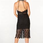 Bardot  Kara Lace Halter Midi Dress Backless Party Sheath Sheer Gemma LBD Size 6 Photo 1