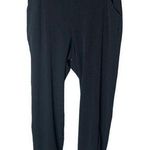 RAE MODE Women’s Size Small Crinkle Woven Joggers in Black Photo 0