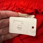 South Boutique  shorts  Photo 3