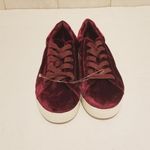 Circus by Sam Edelman Sam Edelman Shoes Sneakers Cranberry Velvet Shoe 8.5 Photo 2