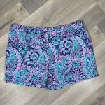 Cambridge Dry Goods Paisley Twill Chino Shorts Blue Pink Size 10 Photo 2