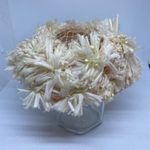 Vintage Pale Pink Flower Hat Pink Photo 2