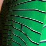 Ralph Lauren  Polo Shirt Men’s Collared Photo 1