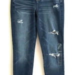 American Eagle  Outfitters Curvy high-rise jegging dream denim jeans 24 Photo 0