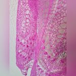 Bright Pink Orenburg Gossamer Lace Goat Down Shawl Scarf Photo 2