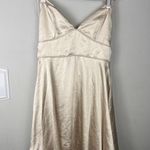 Hello Molly Champagne Satin Mini Dress | Back Tie Cowl Slip Dress | Size M Photo 0