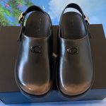 Coach NWT Women's Sculpted C
Loved Leather Photo 4