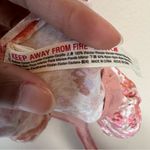 Free People Intimately Floral Siren Song Bodysuit Photo 11