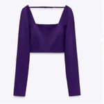 ZARA NWOT   LONG SLEEVES SQUARE NECK DEEP PURPLE CROP TOP BLOGGERS FAV S Photo 5