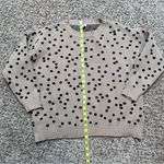 Pink Lily  Tan and Black Knit Polkadot Sweater Size Small Photo 4