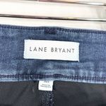 Lane Bryant  Plus Size 26S‎ Jeans High Rise Blue Stretch Flex Magic Waistband 874 Photo 9