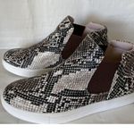 Cushionare CUSHIONAIRE Rebel Chelsea Boots Snake Print Pull On Flat Bootie Size 7.5 Photo 3