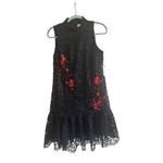 Nicole Miller NWT New York Anthropologie Sequin Midtown Lace Dress Dress Size 6 Photo 3