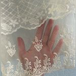 American Eagle  Outfitters Cream Sheer Lace Cami – Boho Vintage Festival Style Photo 5