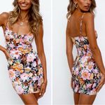 Hello Molly NWT  Friendly Banter Dress Black Floral Size 4 Photo 1